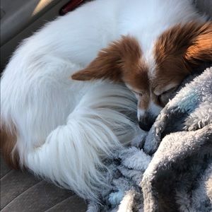 Meet your Posher, Makayla